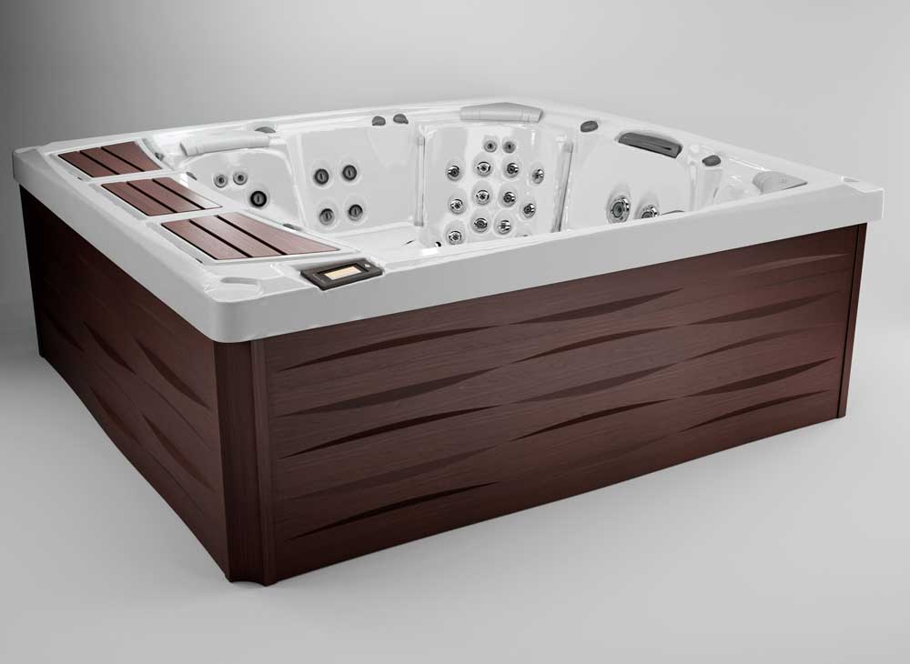 Premout Sundance Spas 980 hot tub